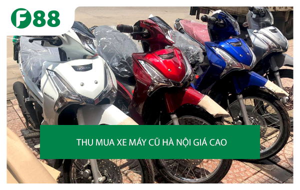 Xe Đạp Điện Cũ Tại Huyện Quảng Hòa  Cao Bằng Xe Điện Cũ Giá Rẻ